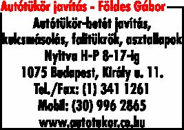 AUTÓTÜKÖR JAVÍTÁS - FÖLDES GÁBOR