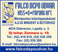 FALCO DEPO UDVAR