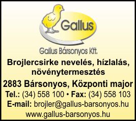 GALLUS-BÁRSONYOS KFT.