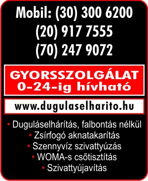 GYORSSZOLGÁLAT