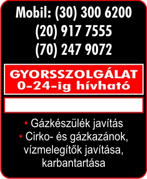 GYORSSZOLGÁLAT