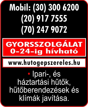 GYORSSZOLGÁLAT