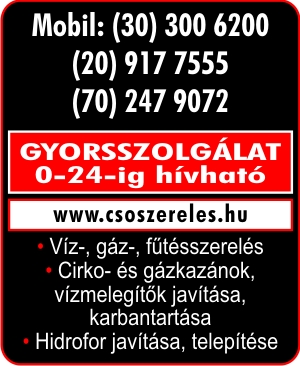 GYORSSZOLGÁLAT