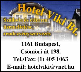 HOTEL VIKI BT.