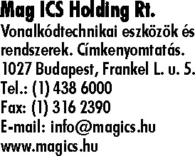 MAG ICS HOLDING RT.