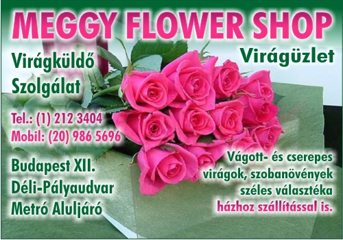 MEGGYFLOWER SHOP