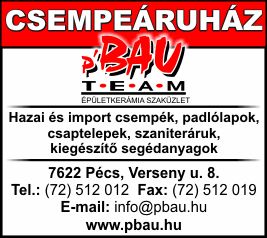 P. BAU TEAM KFT.