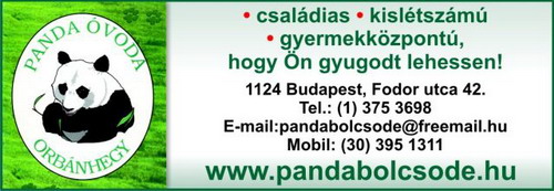 PANDA BÖLCSŐDE