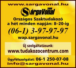 SÁRGA VONAL 2000 KFT.