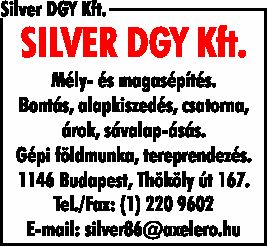 SILVER DGY KFT.