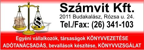 SZÁMVIT KFT.