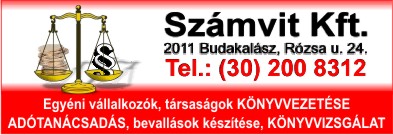 SZÁMVIT KFT.