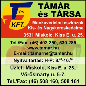 TÁMÁR ÉS TÁRSA KERESKEDELMI KFT.